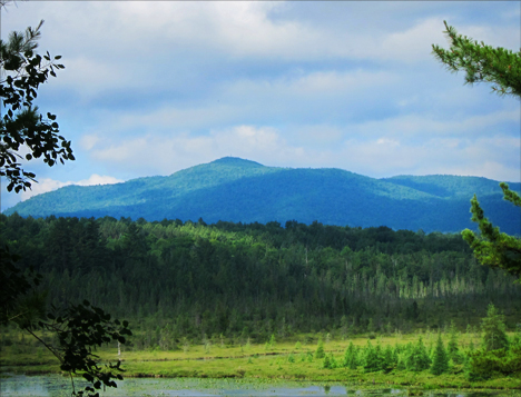 Saint Regis Mountain from the trail in front of the VIC building